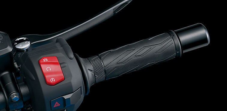 RIDE-BY-WIRE ELECTRONIC THROTTLE SYSTEM