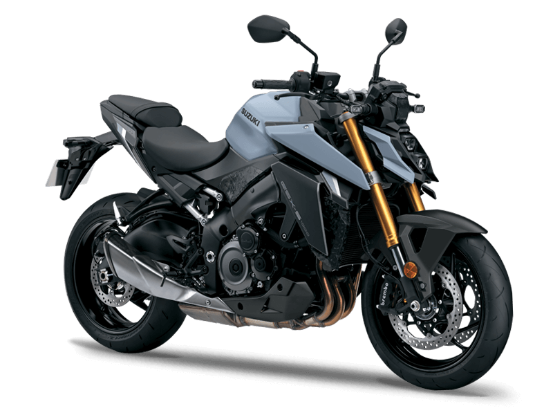 GSX S1000 Color Grey